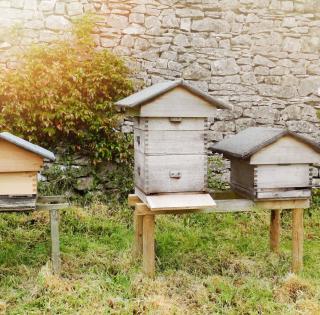 Pražská včelařská setkávání