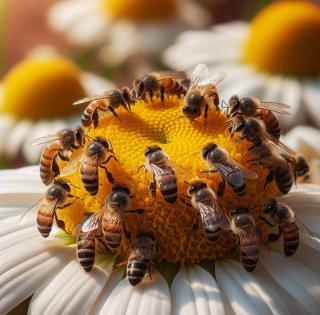 Kompletní cyklus přednášek a kurzů Kompletní cyklus přednášek a kurzů