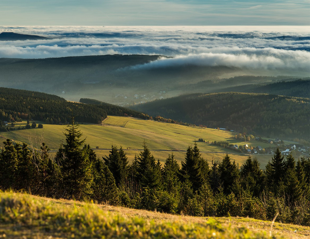 O Včelím domě v Krušný horách O Včelím domě v Krušný horách
