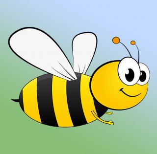 Včelí dny 2019 na Sofronce Včelí dny 2019 na Sofronce