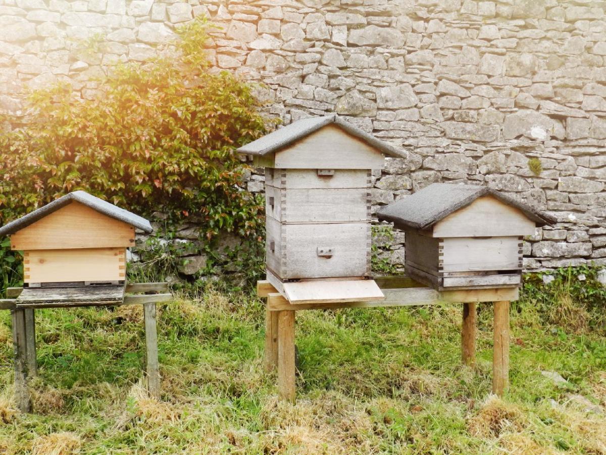 Herzlich willkommen in dem Bienenhaus in Erzgebirge.